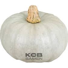 Potiron Bleue De Hongrie - 1,3kg