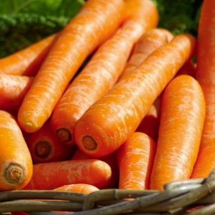 Carottes / kg