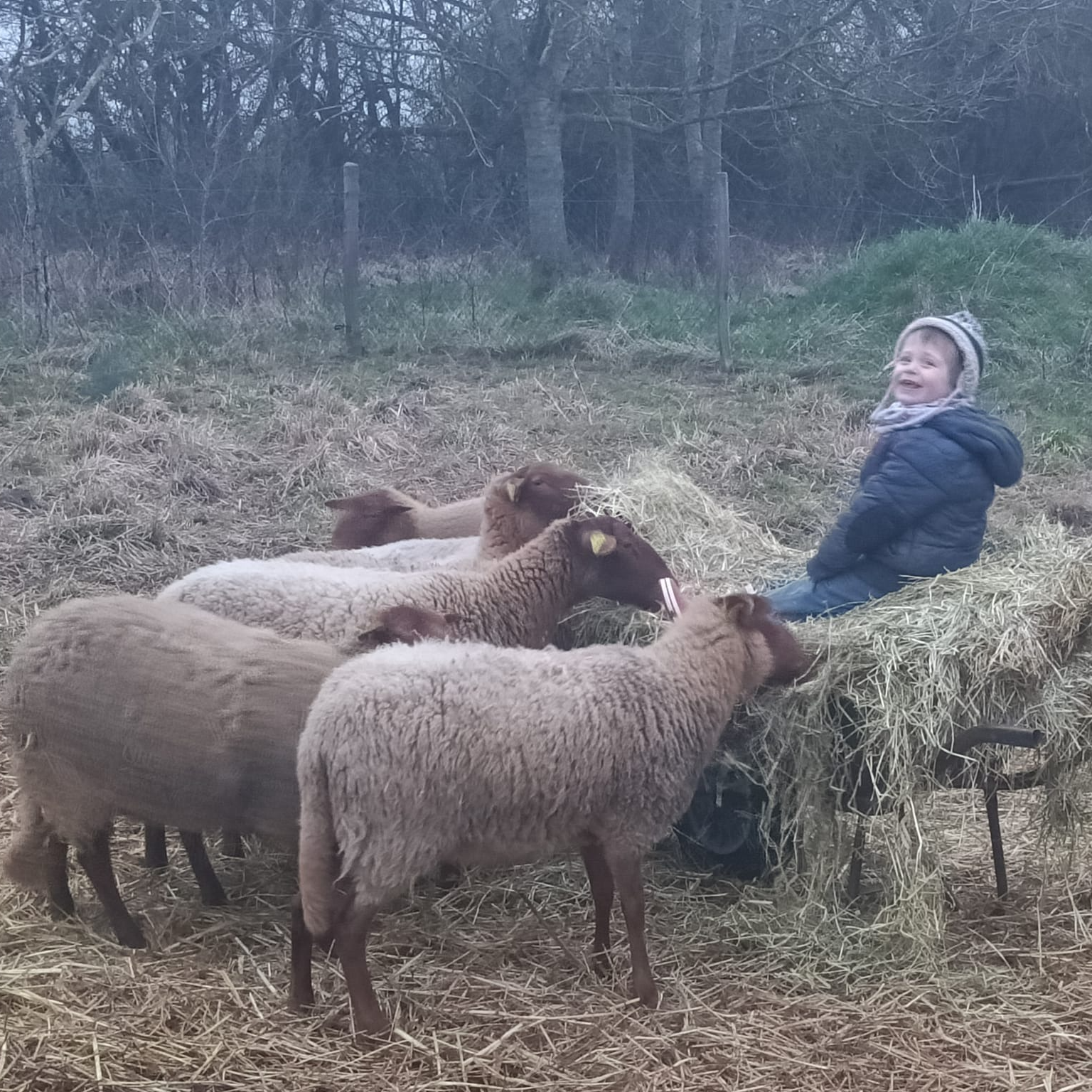 Le premier club de la ferme de 18 mois à 3 ans
