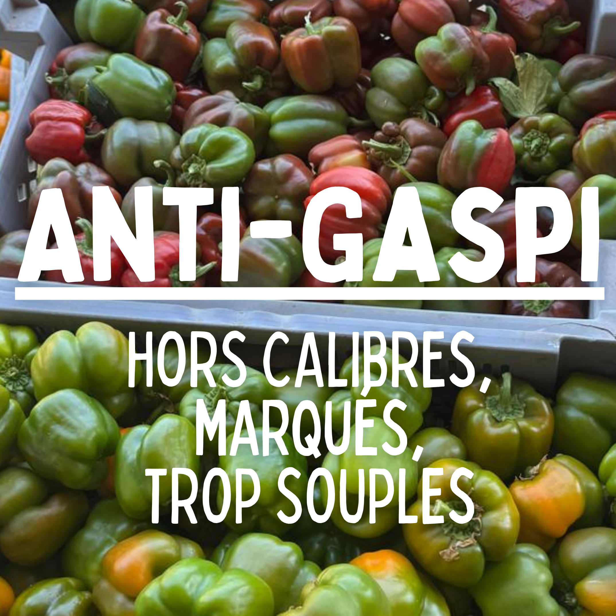 Poivron ANTI GASPI - 1kg