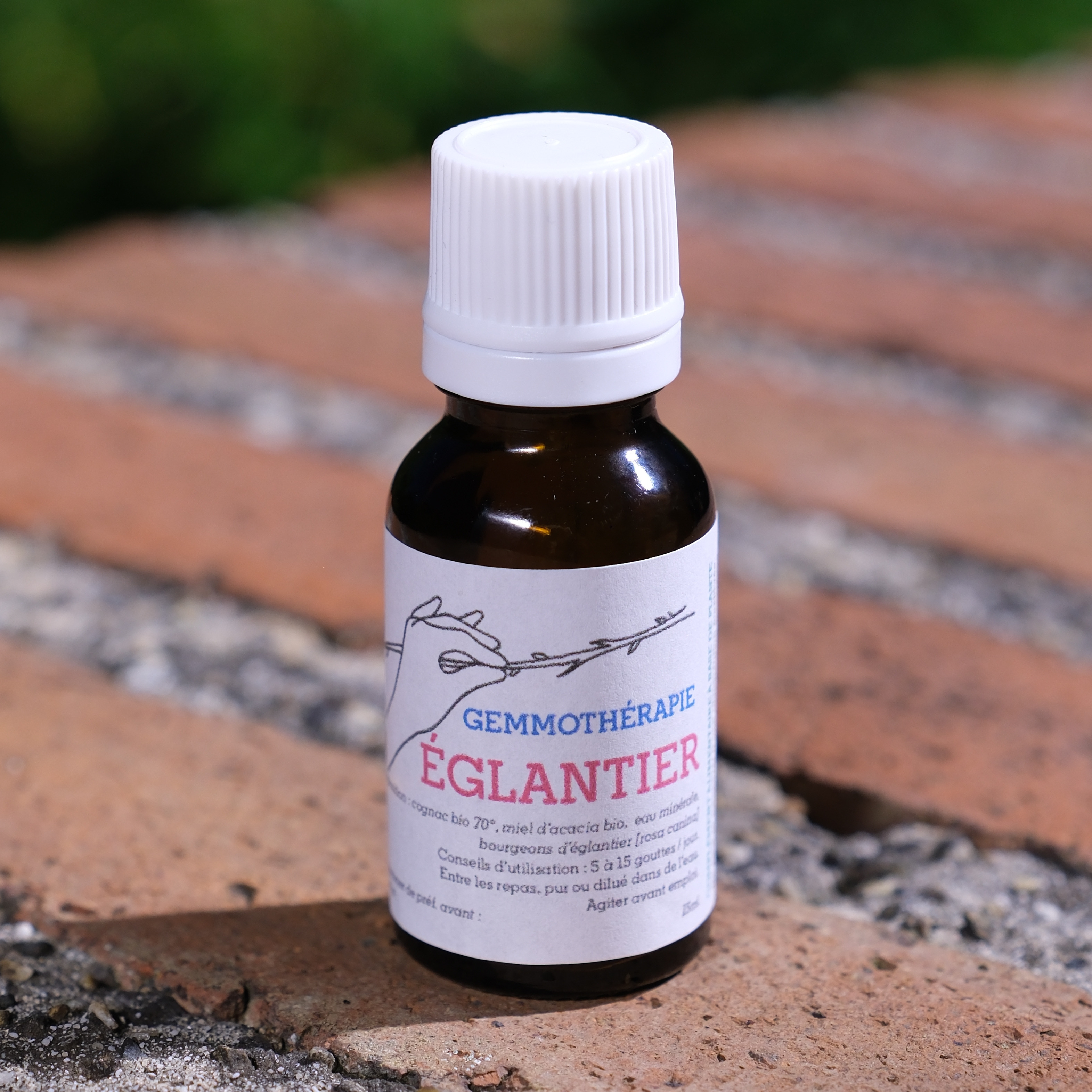 Églantier • Sphère ORL & Immunitaire - 15ml