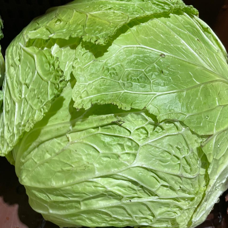 Chou frisé - 800g