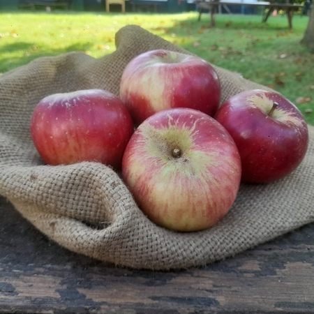 Pomme à croquer - 1kg