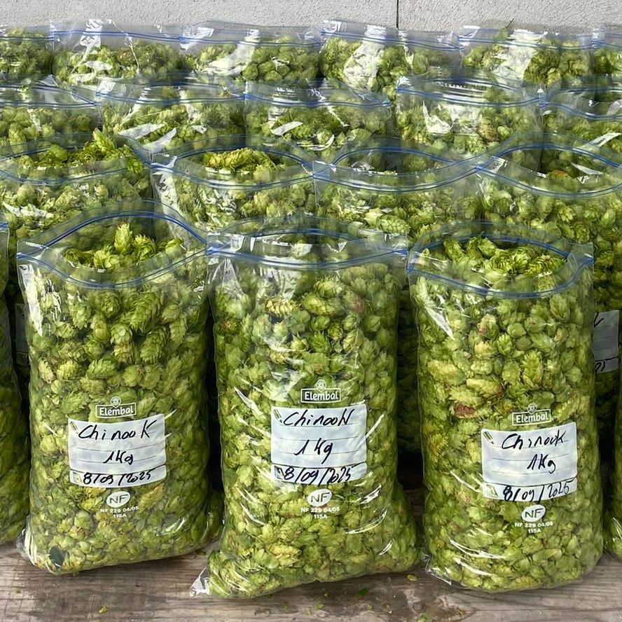 Houblon en cône frais bio variété Chinook - 1kg
