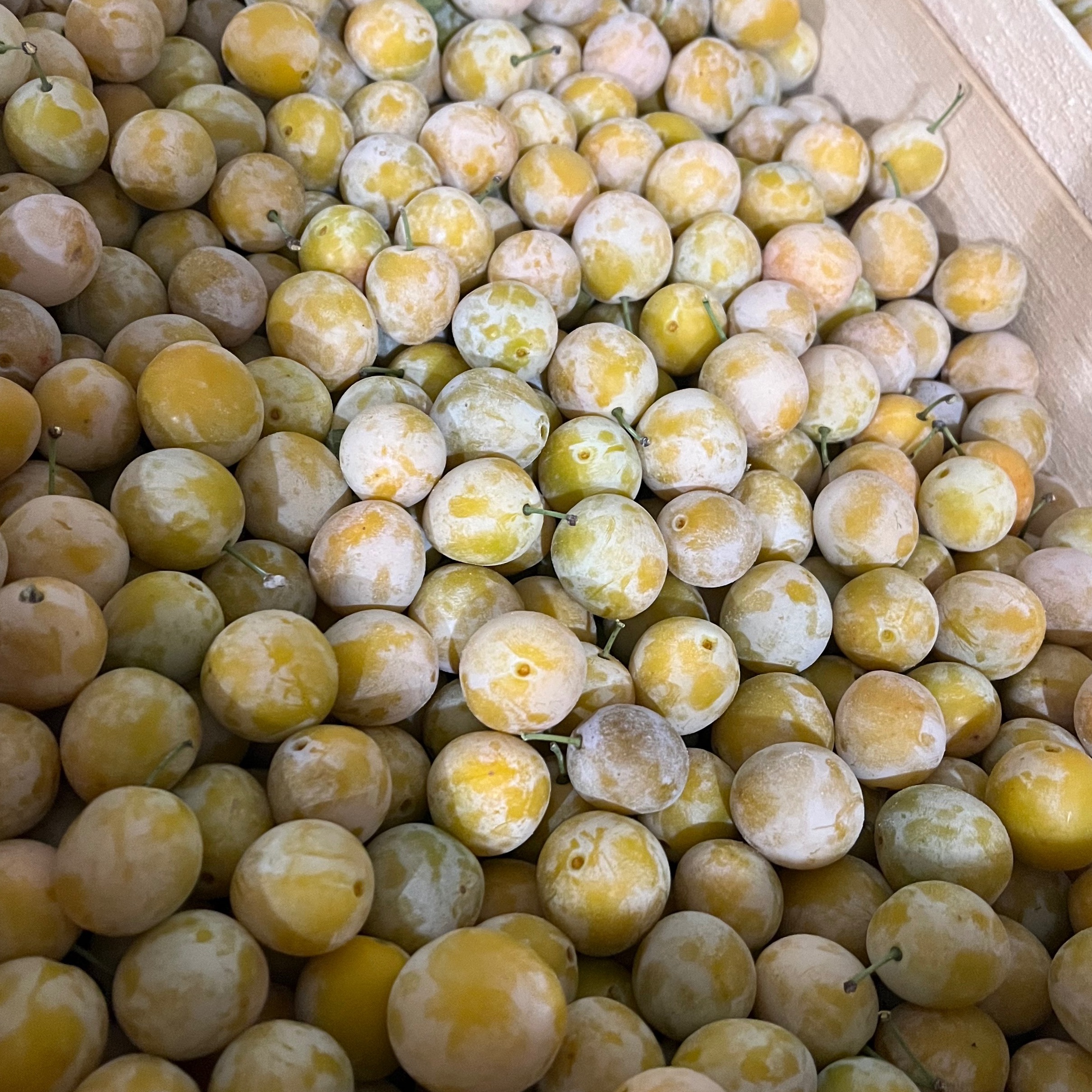 Mirabelle - 1kg