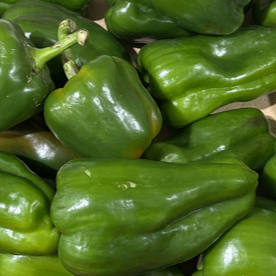 poivron vert