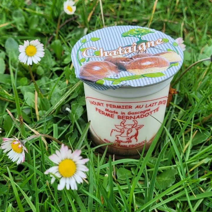 YAOURT SUR SON LIT DE CHATAÎGNES - 12cl
