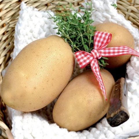 Sac de patates Bio