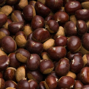 Châtaigne Bio
