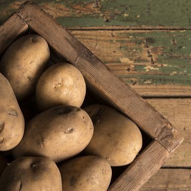 Pomme de terre