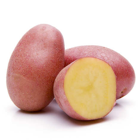 Pomme de terre nouvelle Rubis B - 1kg