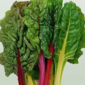 Blette en vrac (Mélange de couleur)