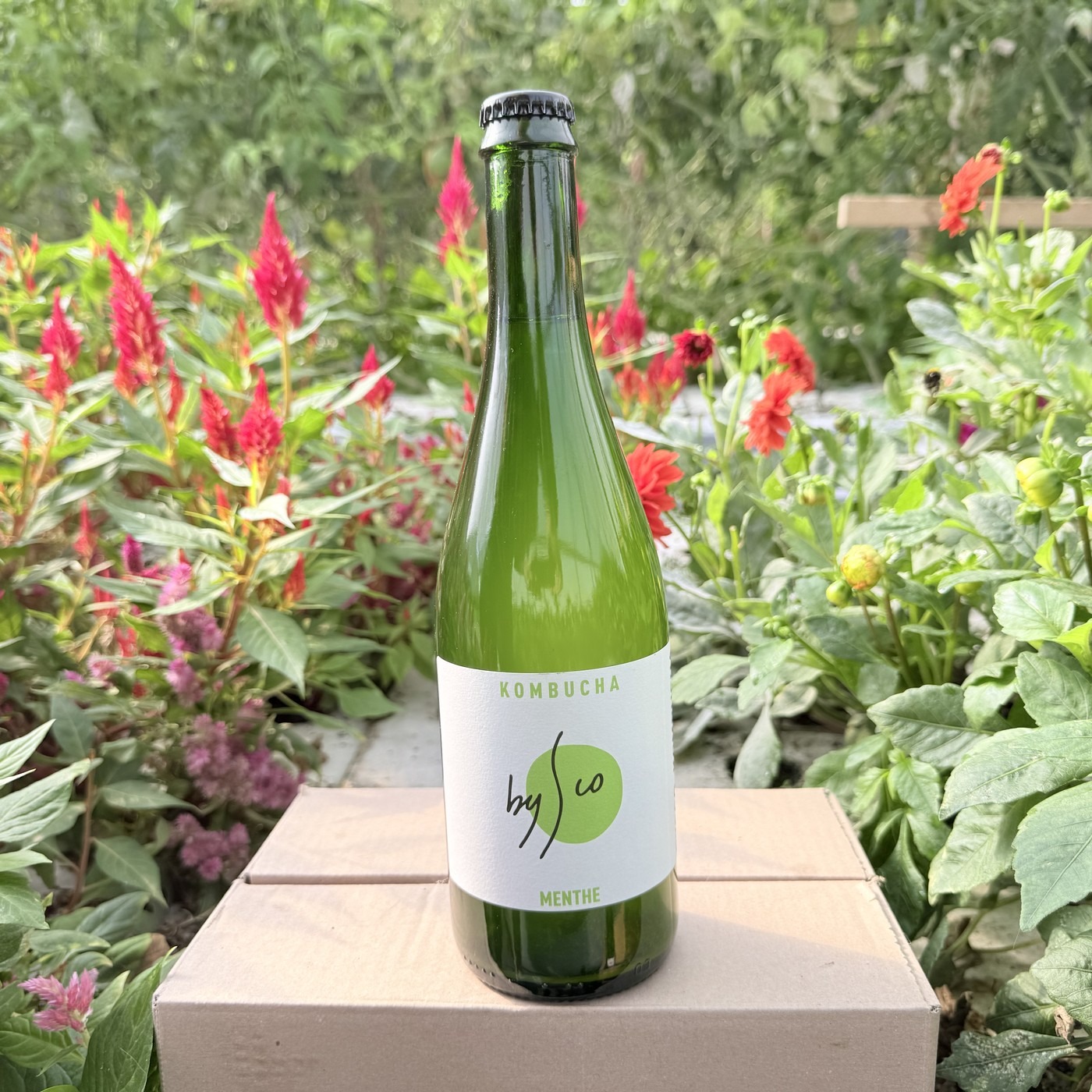 Kombucha Menthe Bio Bysco - 75cl