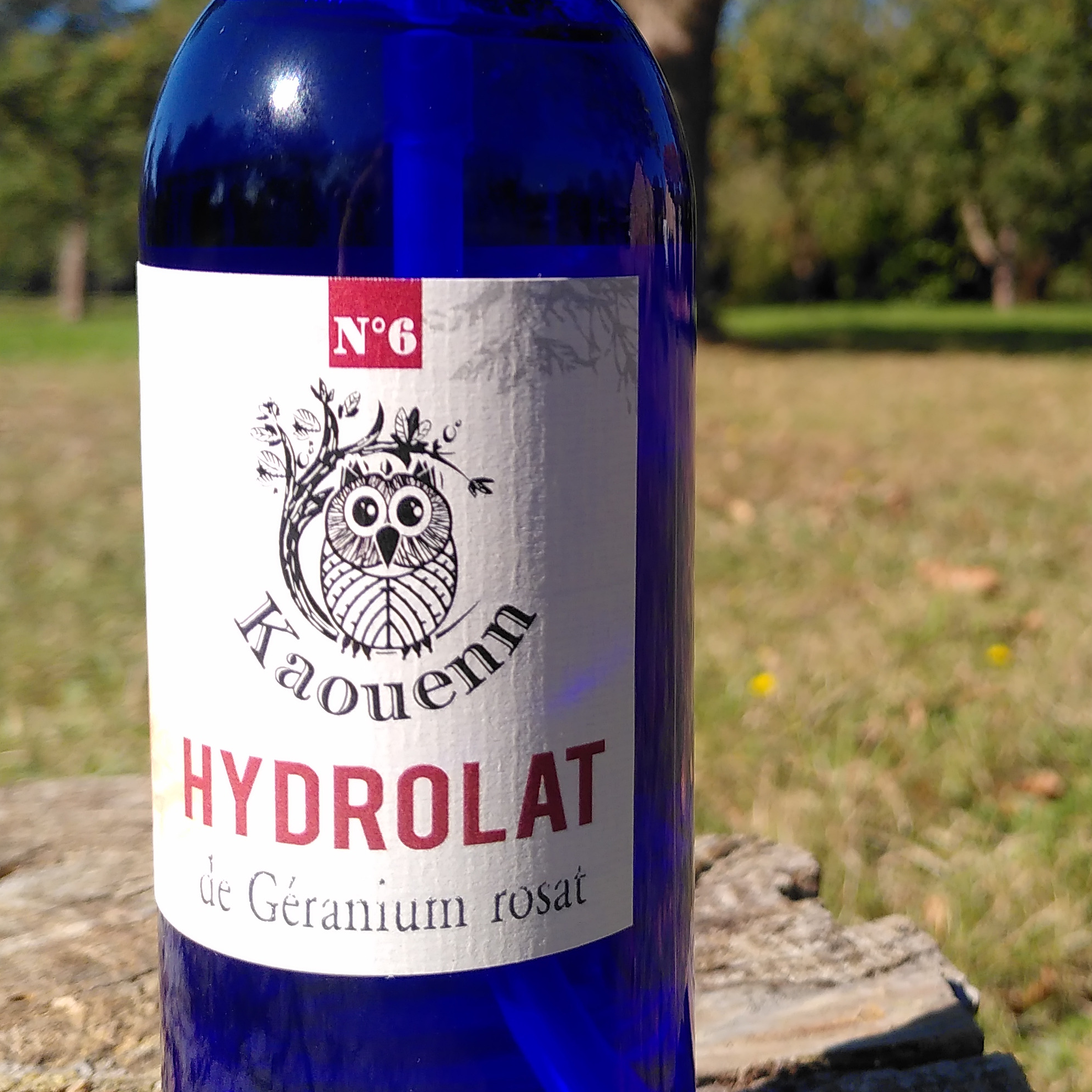 HYDROLAT DE GÉRANIUM ROSAT - 200ml