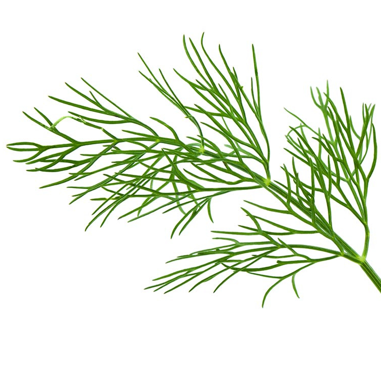Bouquet - Aneth - 60g