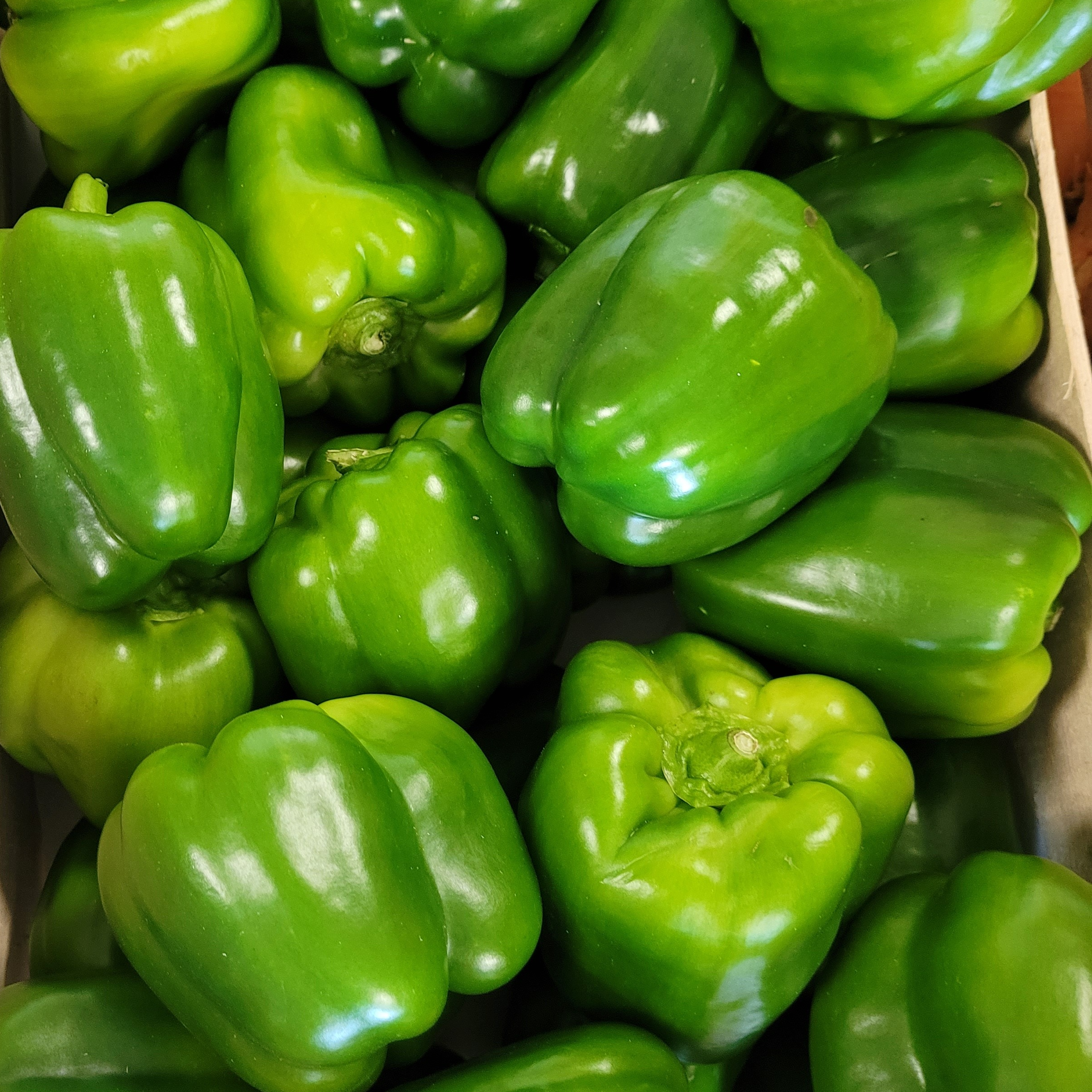 Poivrons 1 KG