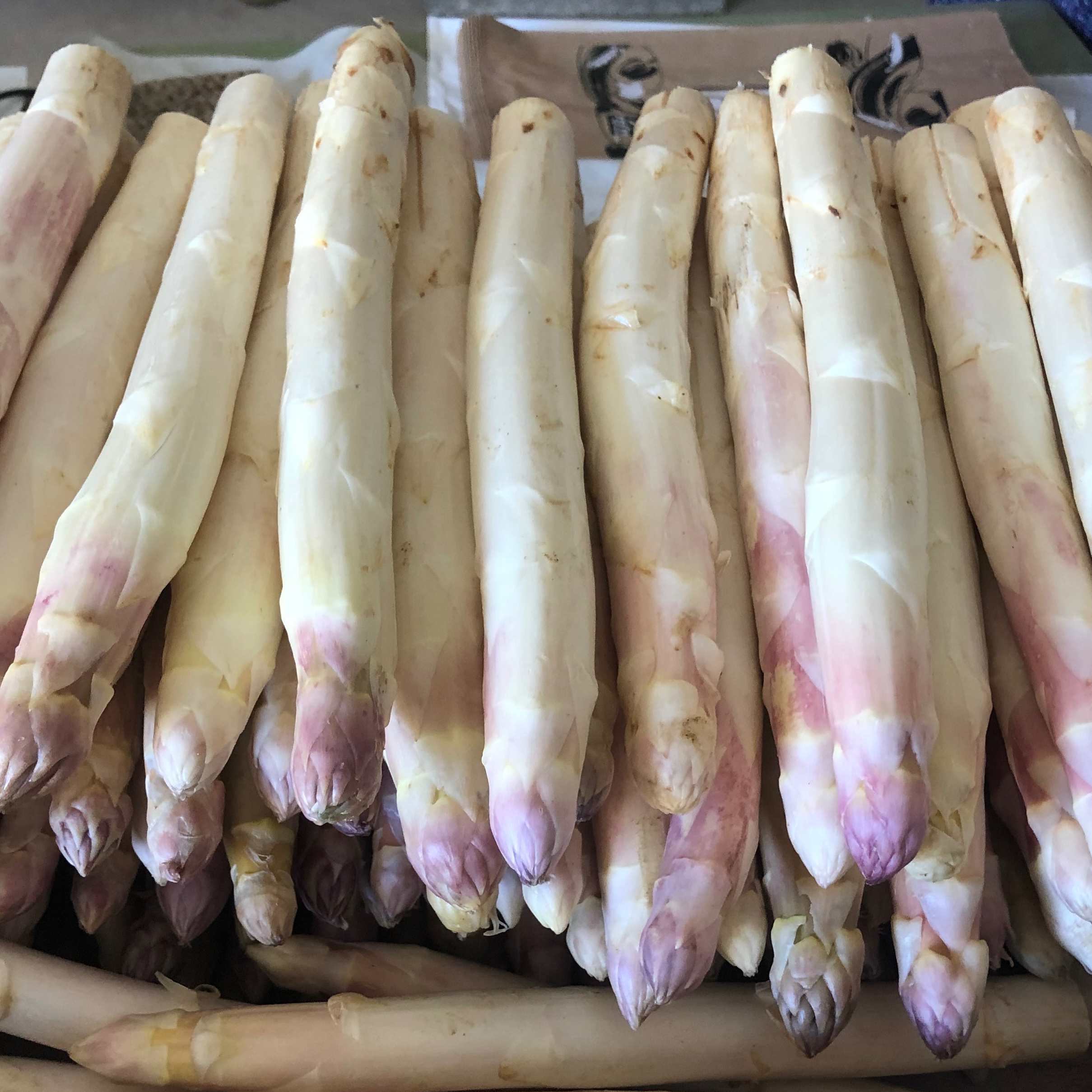 Asperge blanche 1KG