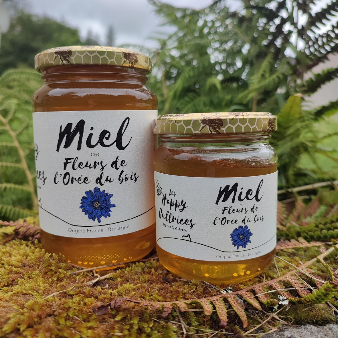 Miel de l’Orée du bois