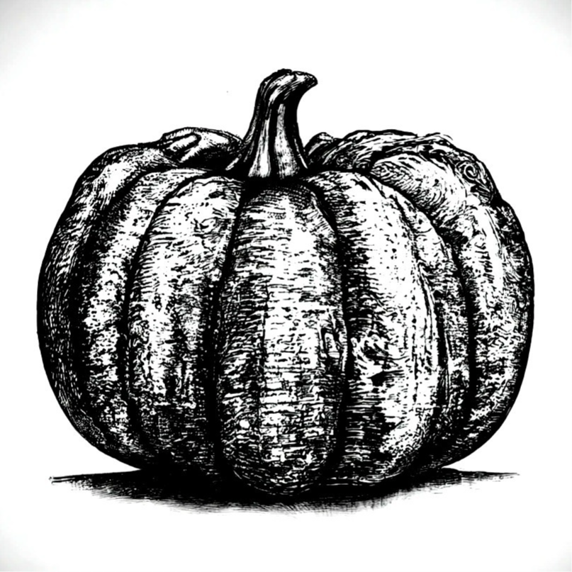 Potimarron +- 1 kg - 1 pièce