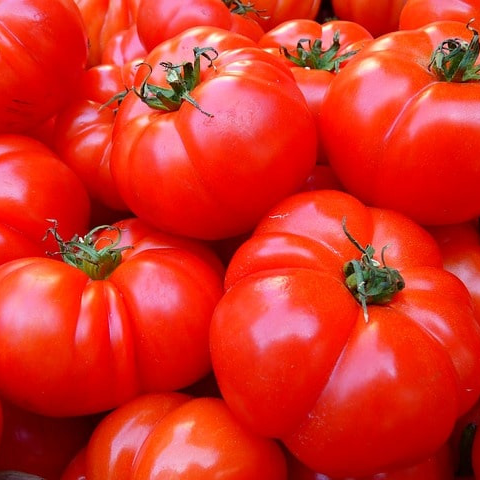 Tomate ancienne (pièce)