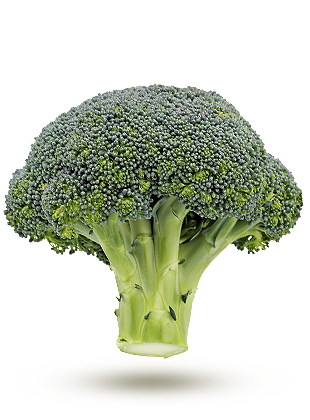BROCOLI