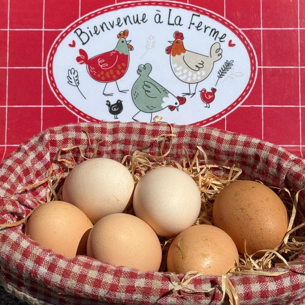 Oeufs de ferme x 6