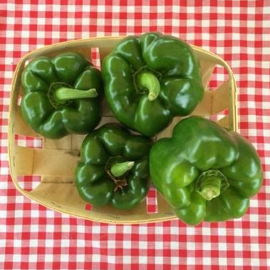 Poivrons Verts Le Kg Cat 2 (origine: La Cueillette 59 France)