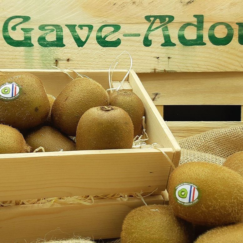 Kiwi