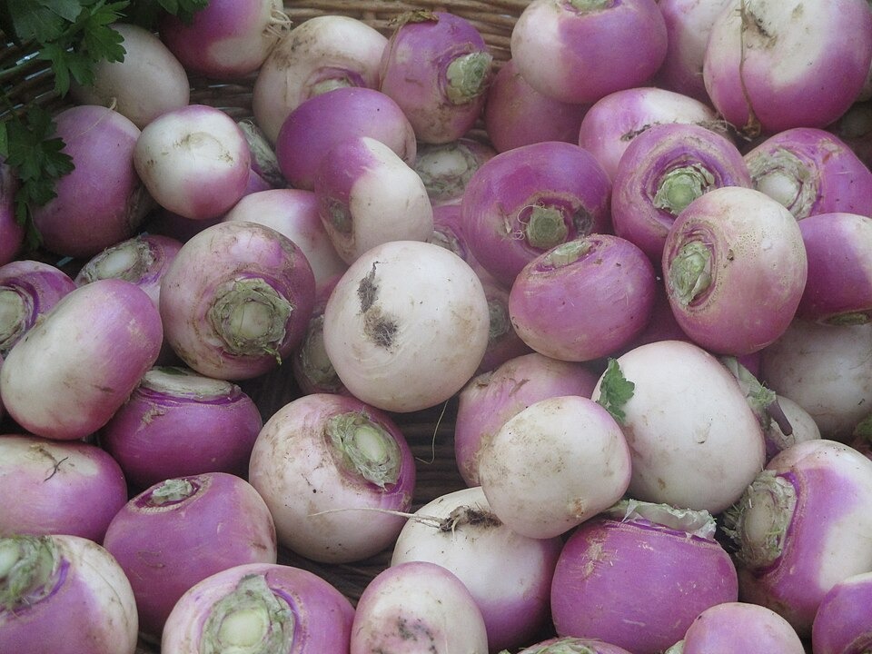 Navets