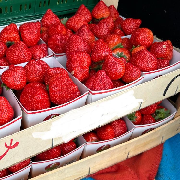 Fraises - 500g