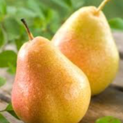 Poire Guyot 1kg - 1kg