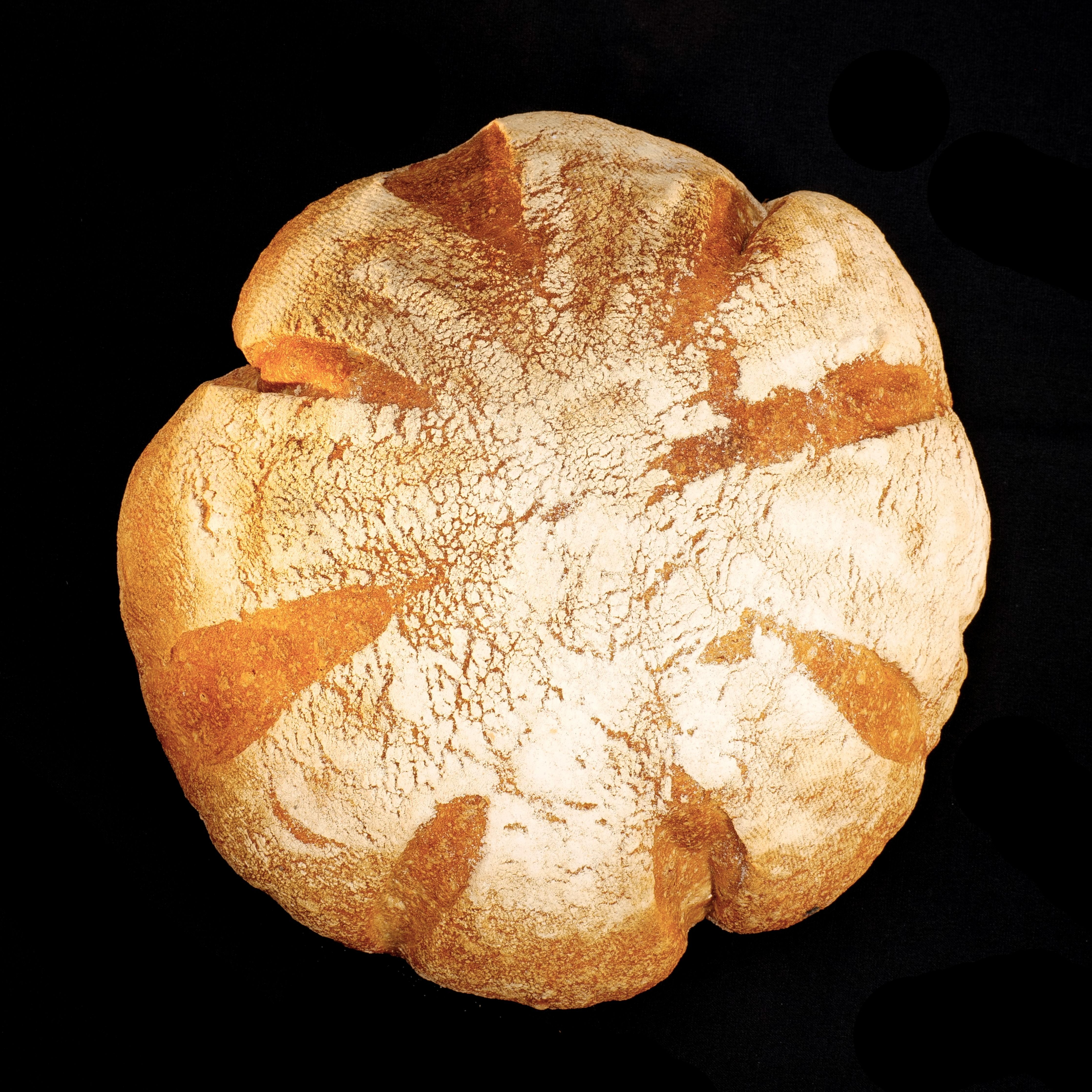 Pain de Blé des Alliés (blé ancien), 1 kg moulé - 1kg