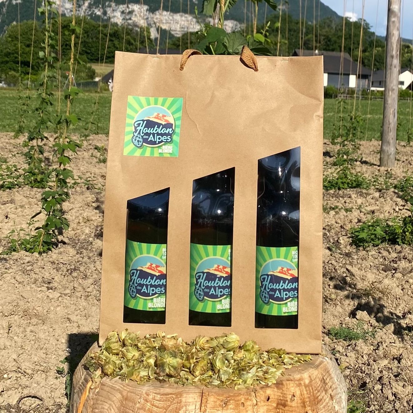 Lot de 3 Bières Blonde Bio Houblon des Alpes 75 Cl 4.8% Vol.
