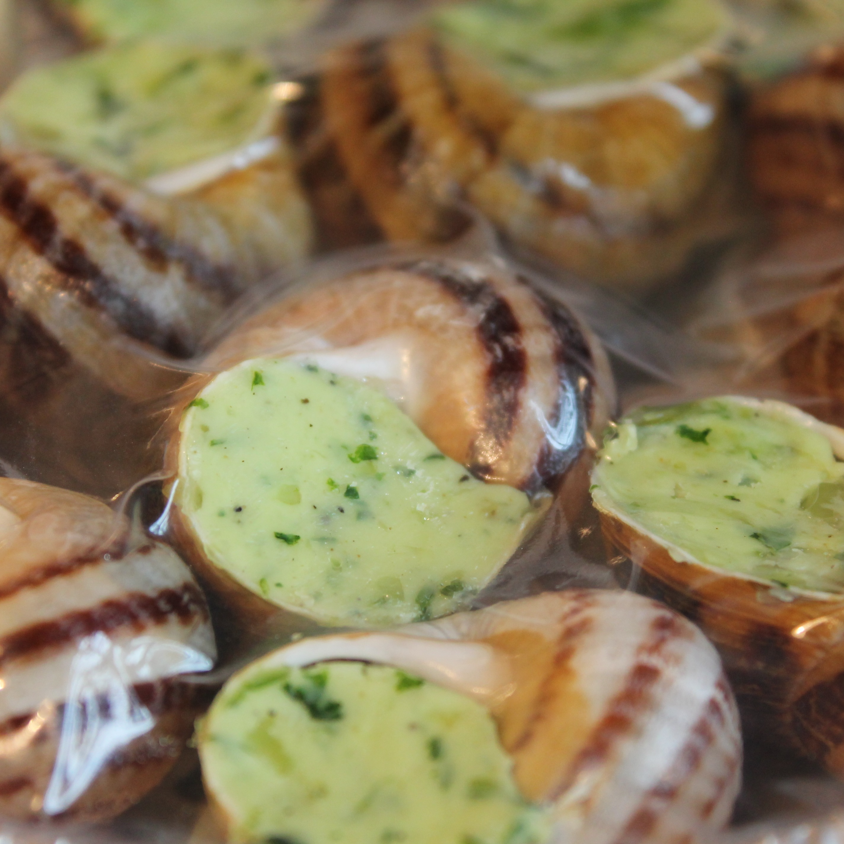 Douzaine d'Escargots Préparés en coquilles - 90g
