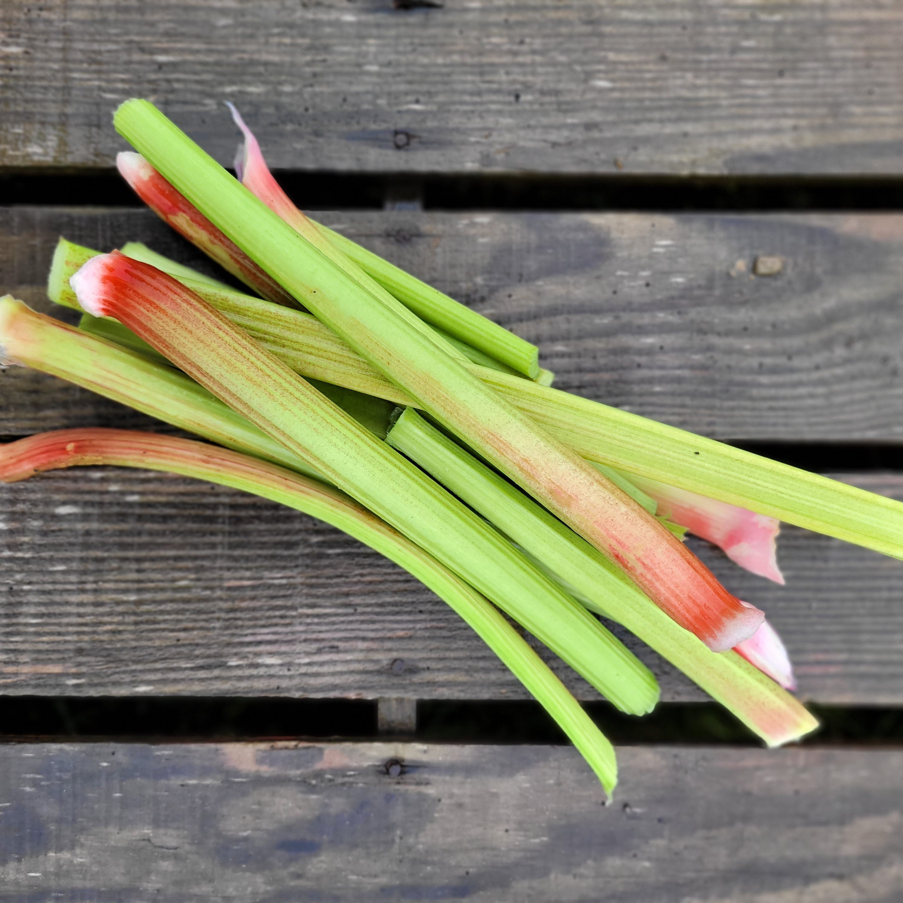 Rhubarbe - 500g