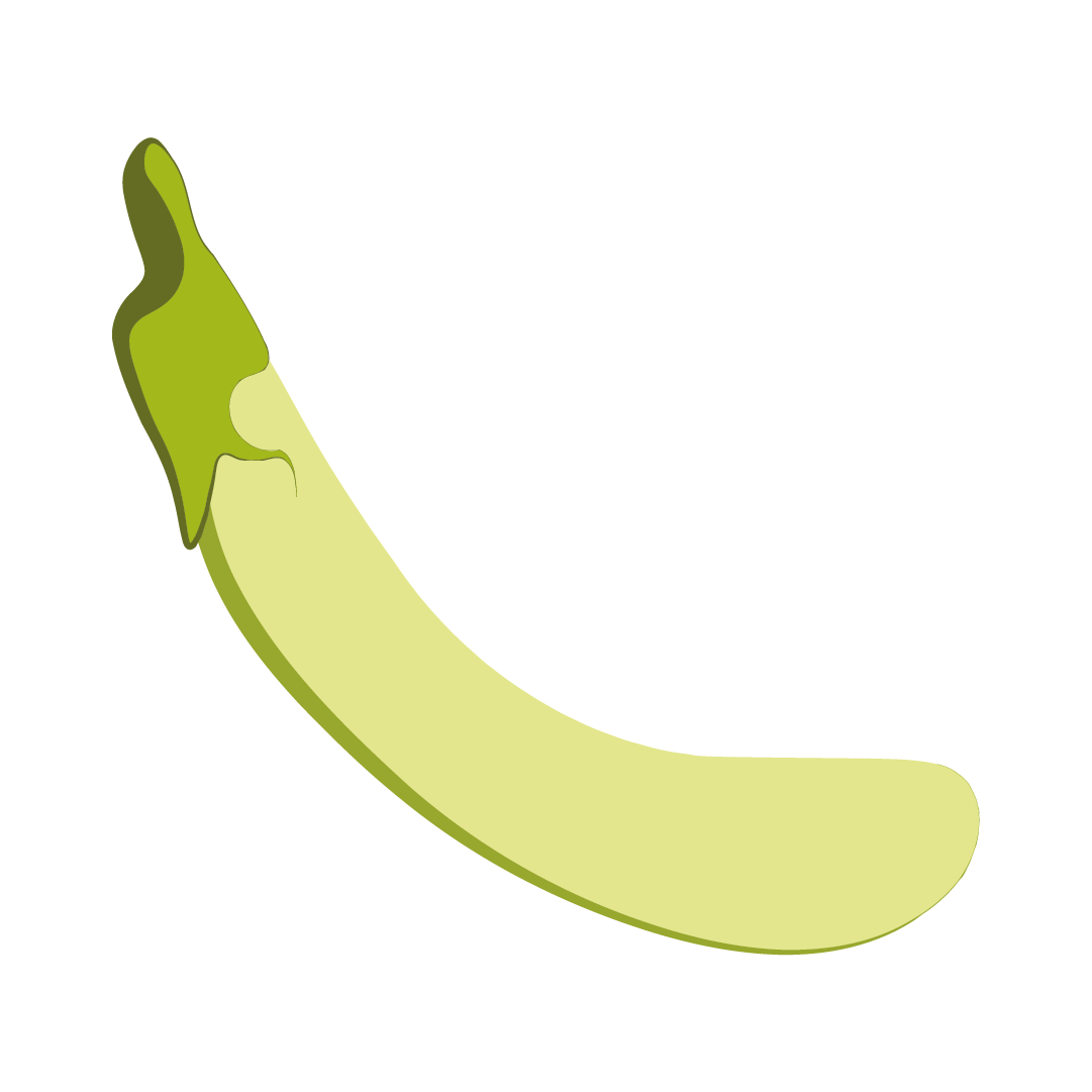 Aubergine longue verte