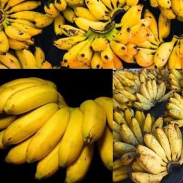Banane mignonne (unité : main de banane)
