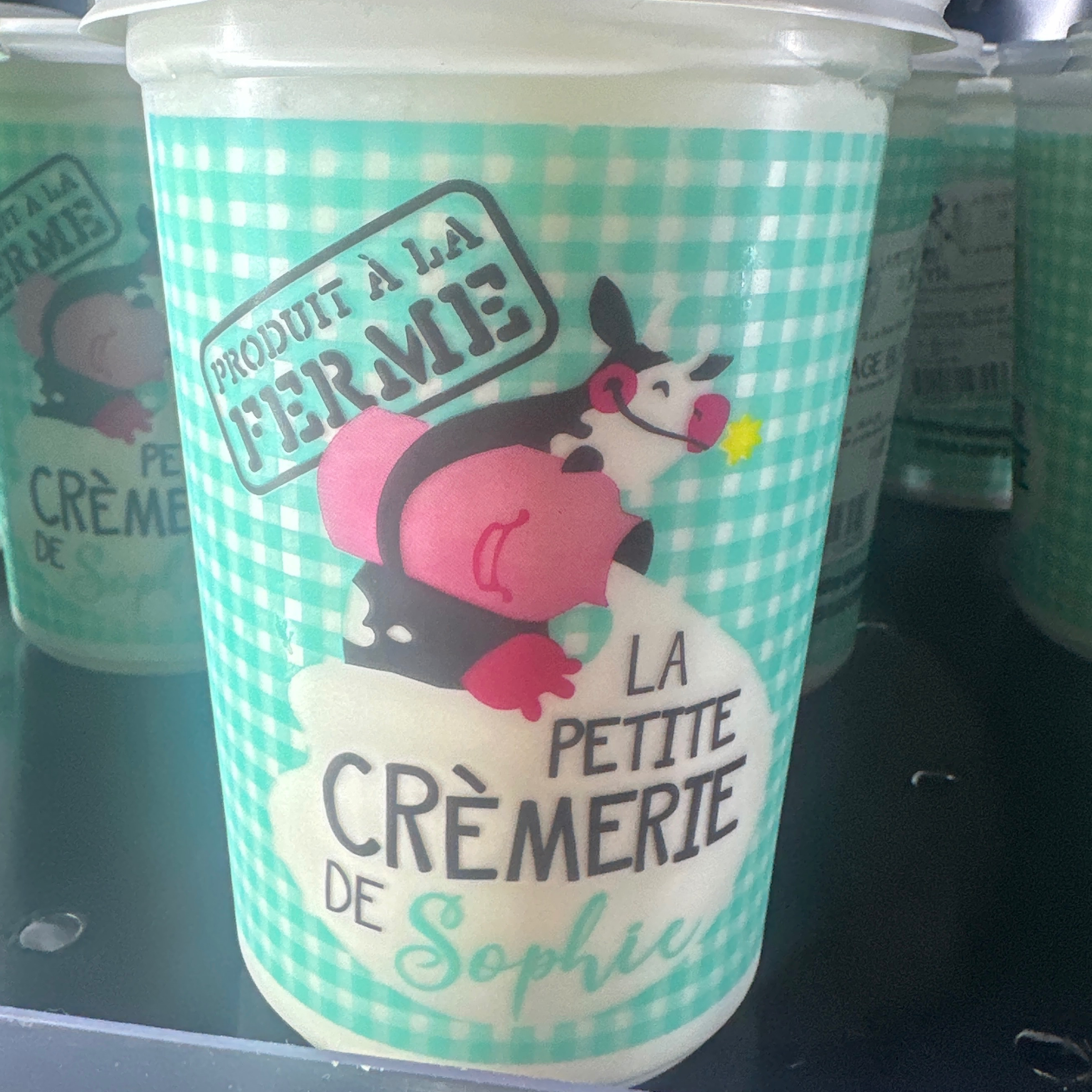 SKYR - 500g