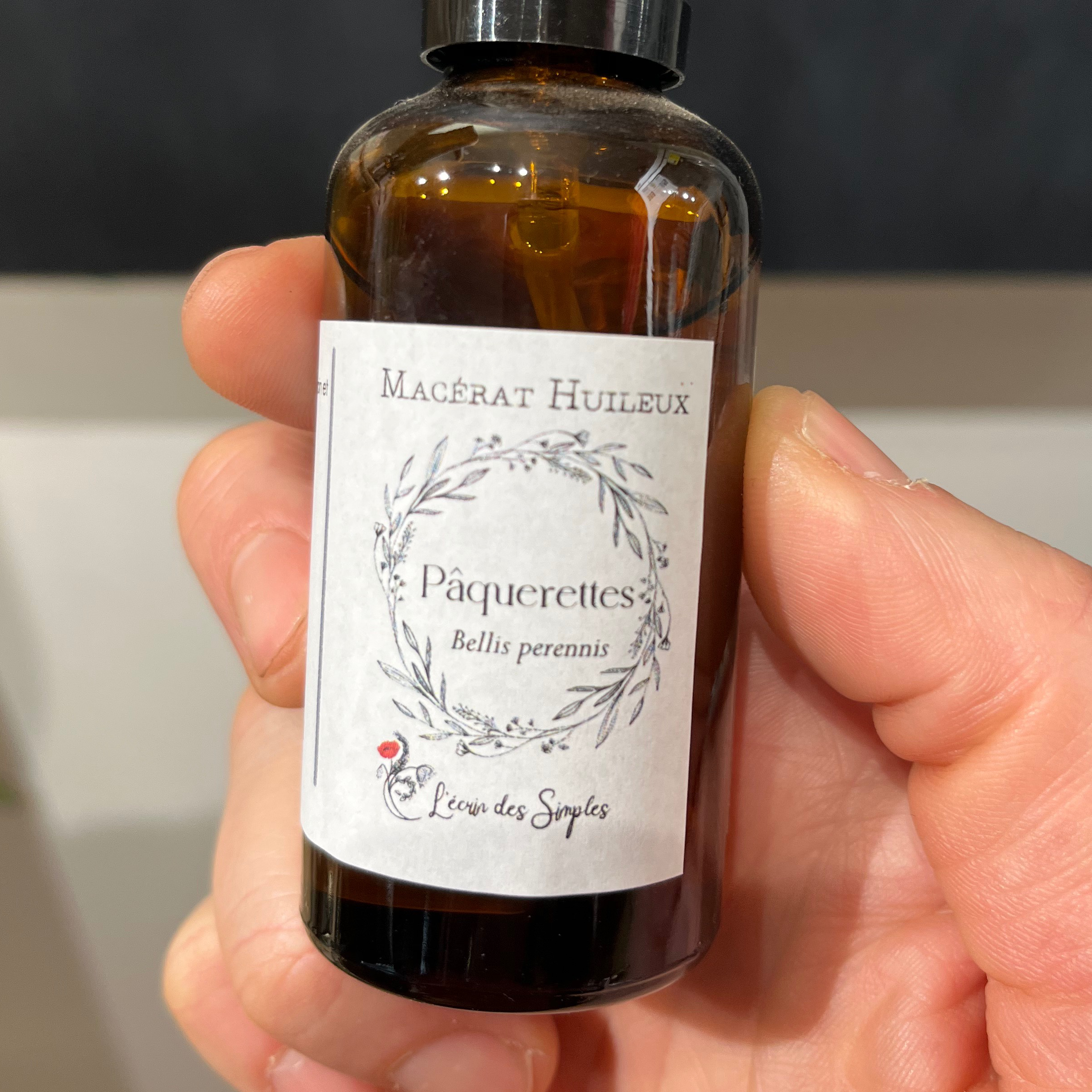 MACÉRAT HUILEUX "PAQUERETTE" (50ML)