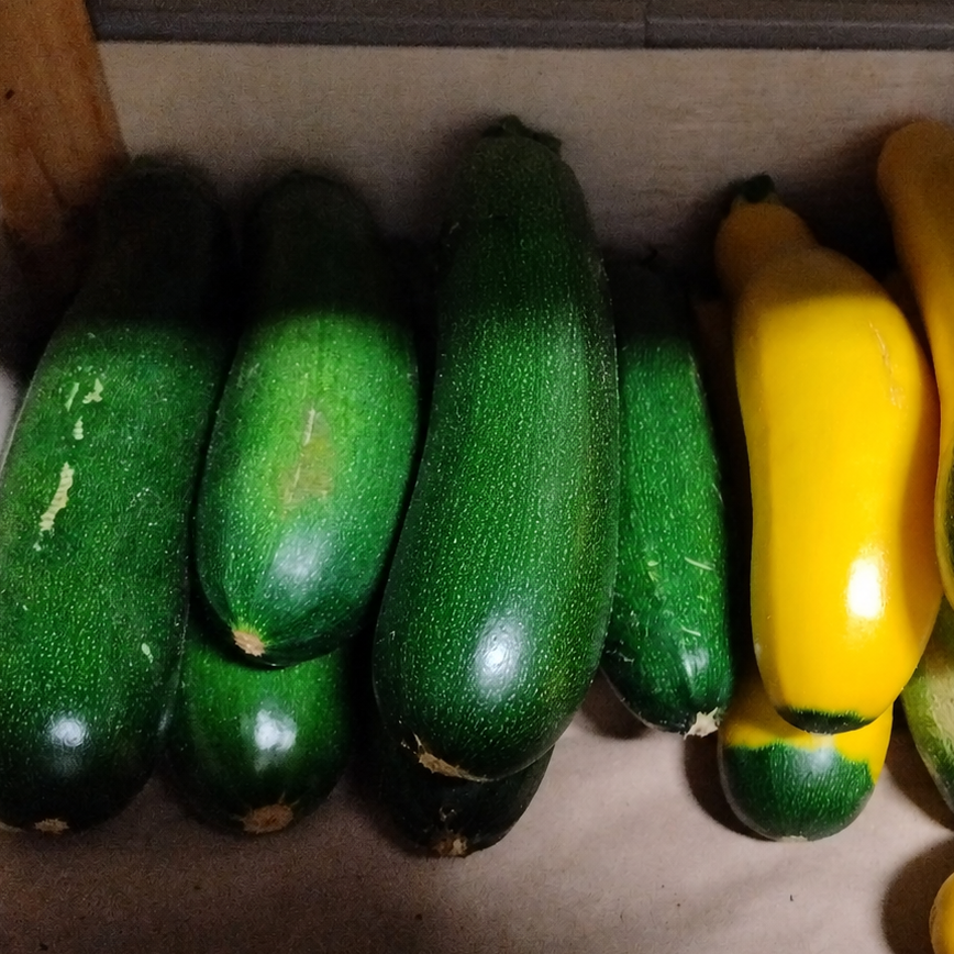 PLATEAU DE COURGETTES - 5kg