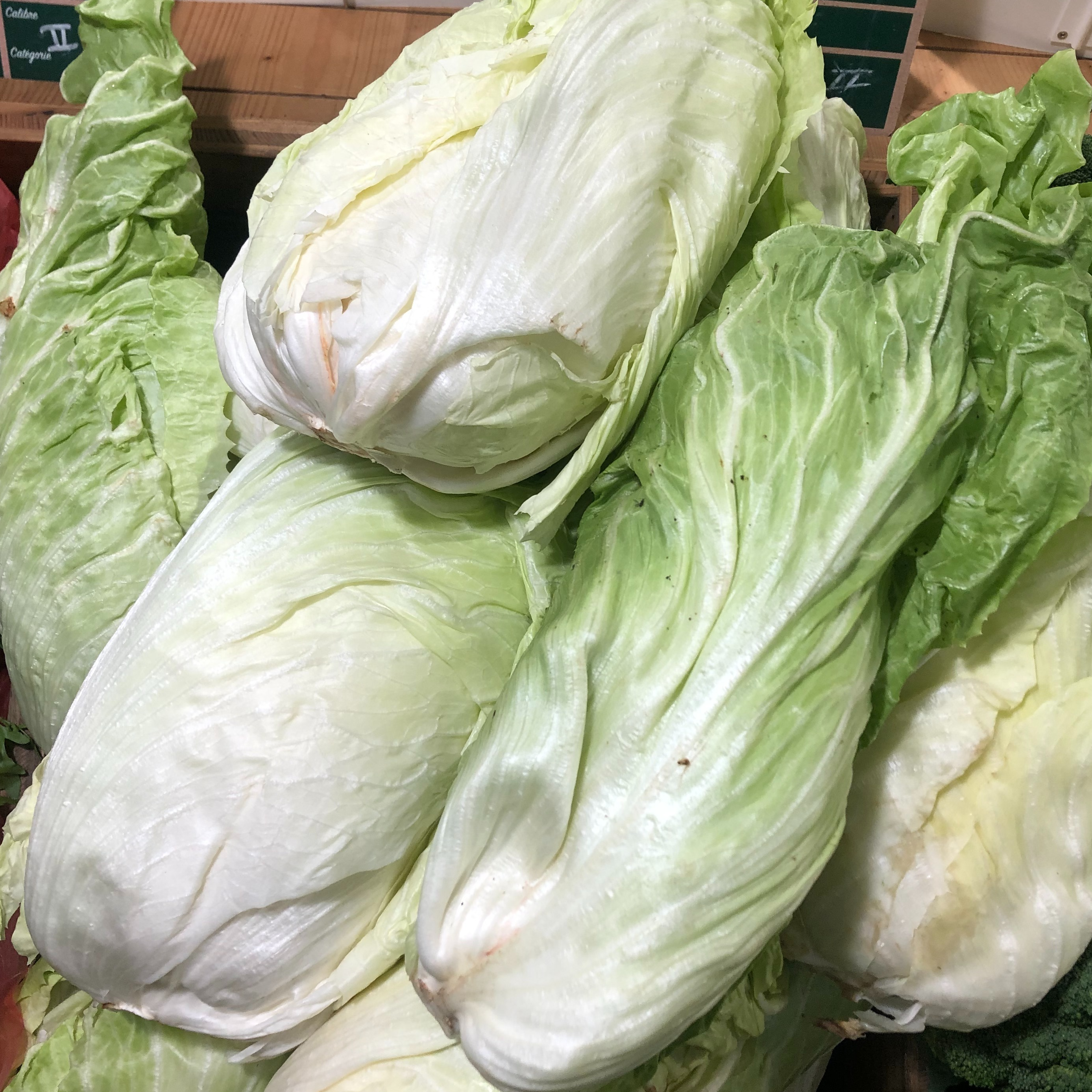 Salade pain de sucre Bio