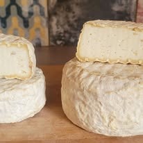 TOMME NATURE
