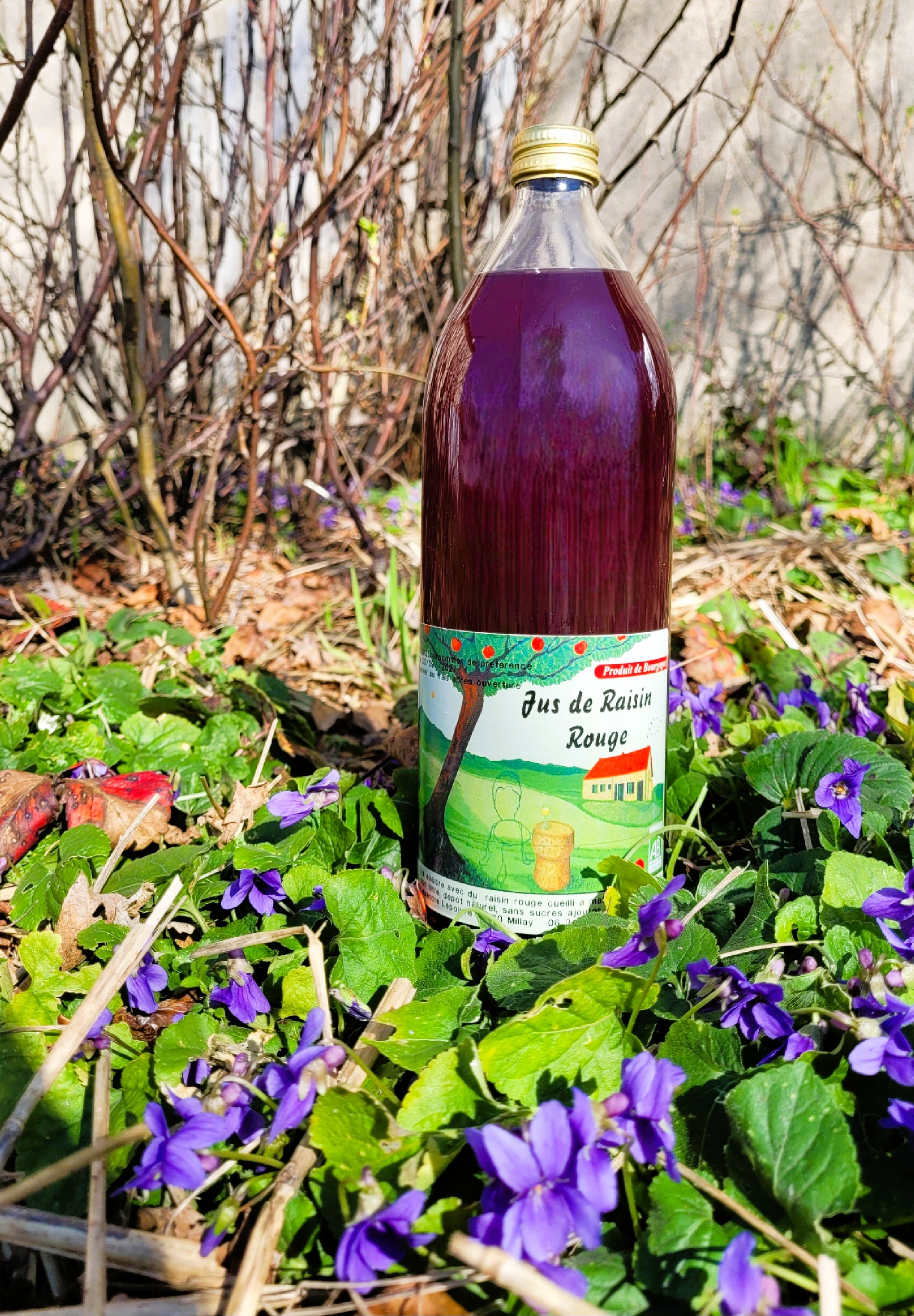 Jus de raisin - 1l