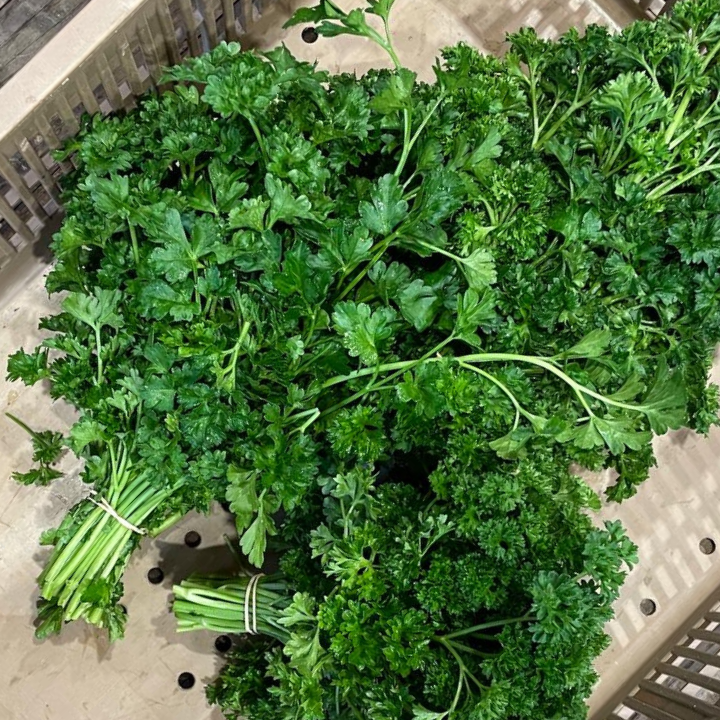 1 bouquet de persil frisé