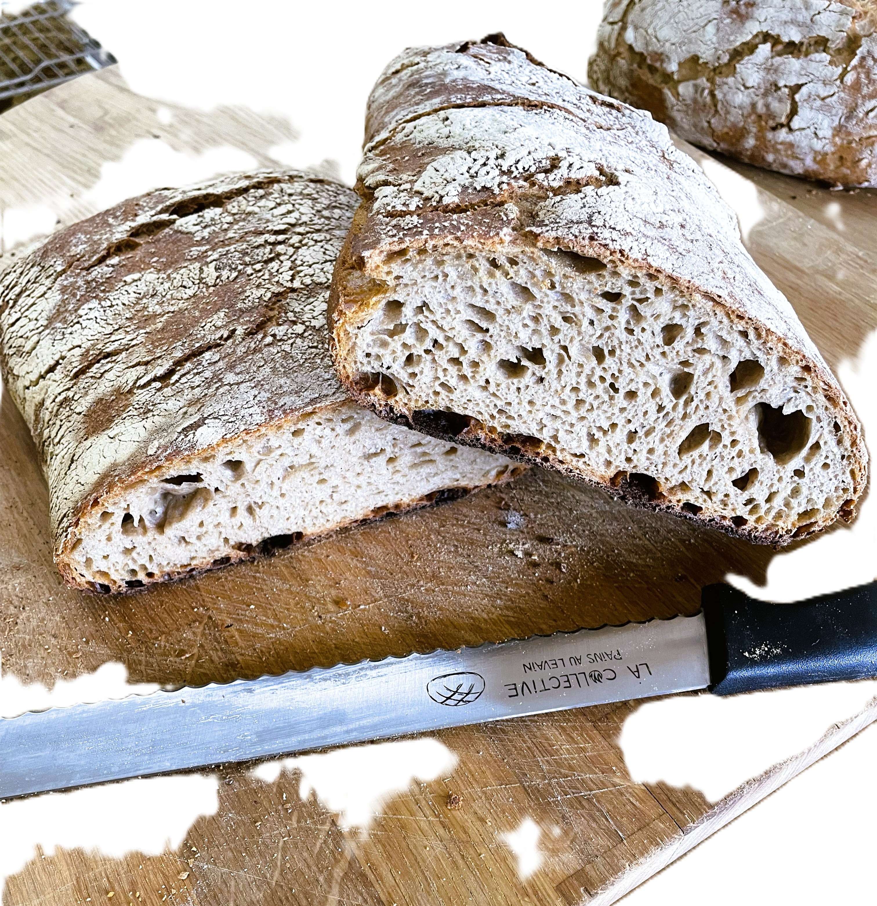 SANS FACON NATURE - 1000g