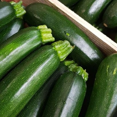Courgettes / kg