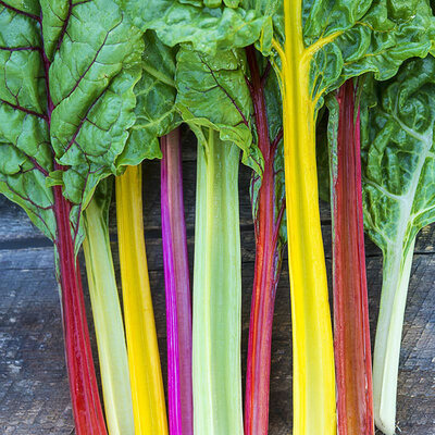 02 BLETTE CADRES COLORES