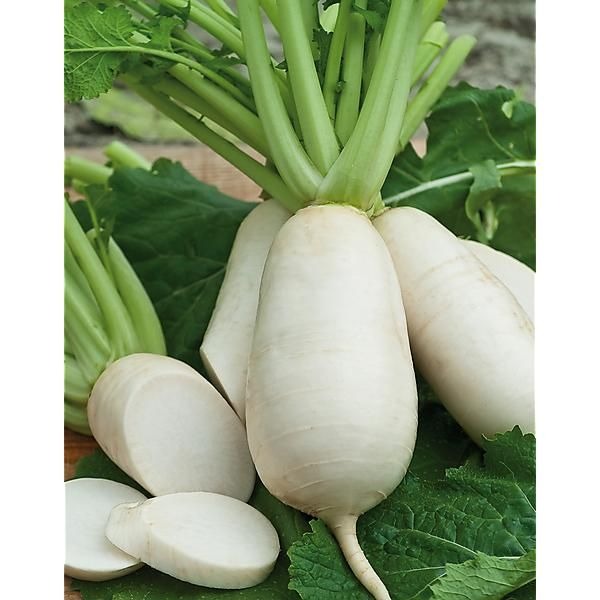 des vertus marteau (lot de 6)