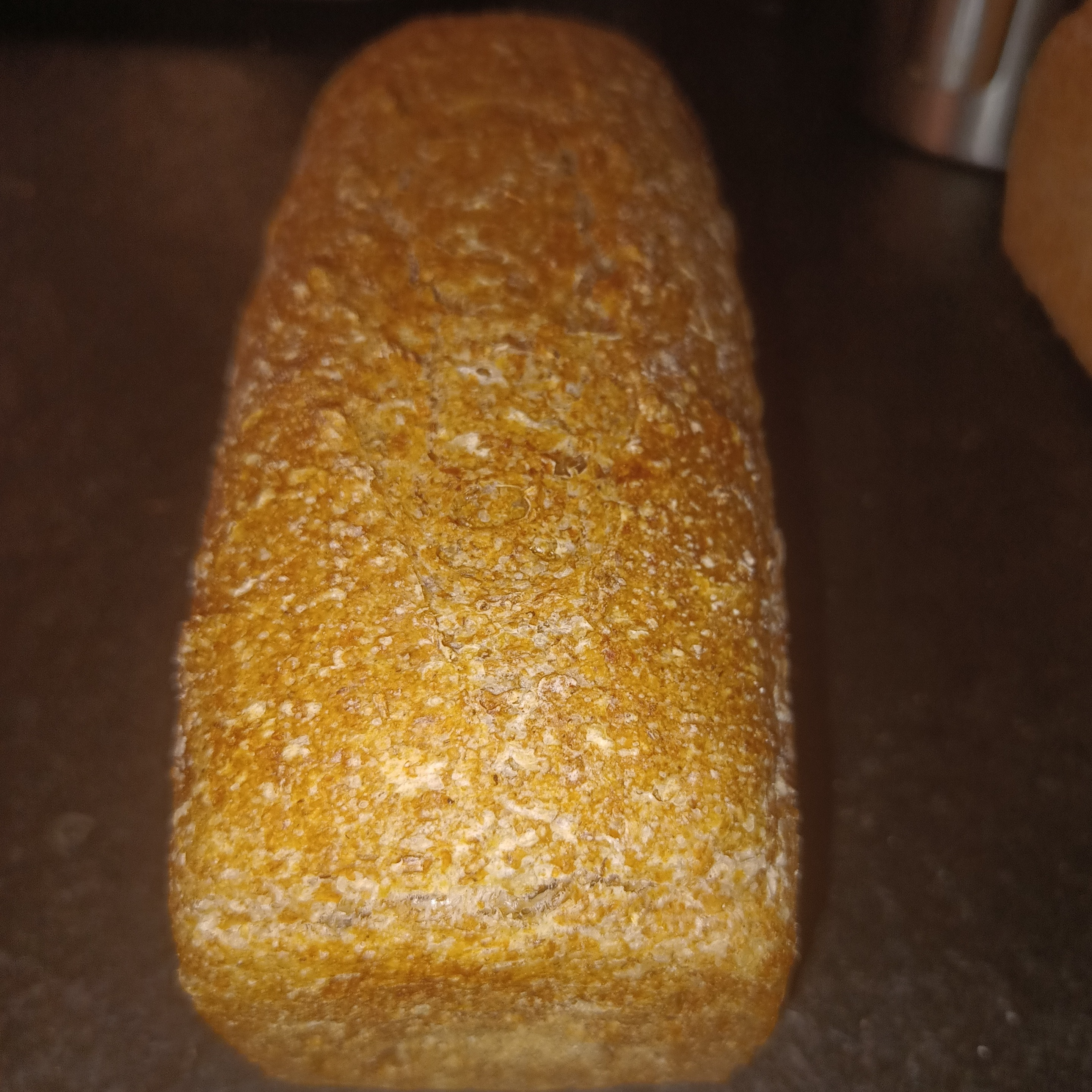 Pain complet t110 - 650g