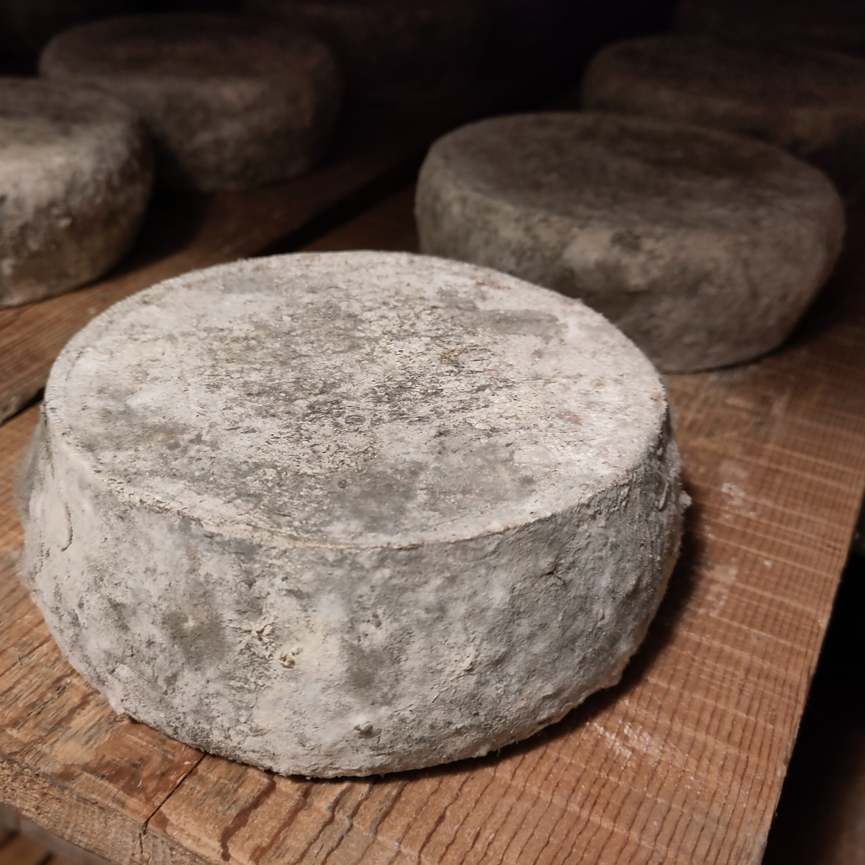 Tomme de Chèvre - 800g